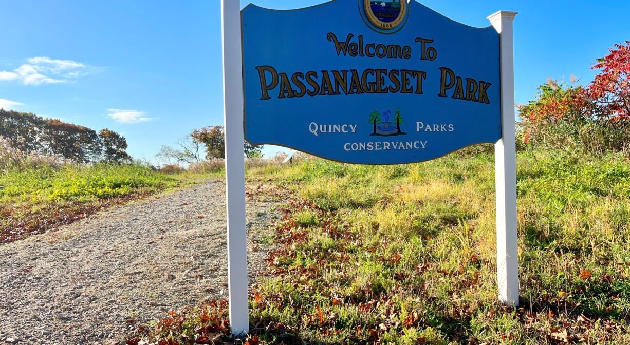 Passanageset Park